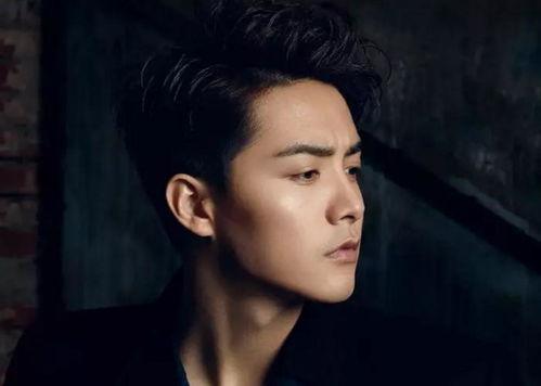 娱乐圈美男子,盘点那些令人惊艳的美男子  第2张