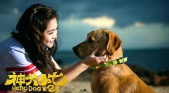 神犬小七2演员表,实力派明星齐聚一堂！  第2张