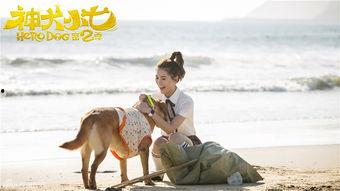 神犬小七2演员表,实力派明星齐聚一堂！  第3张